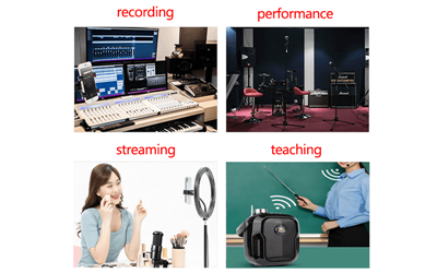 Wofür werden Mikrofonkapseln verwendet?